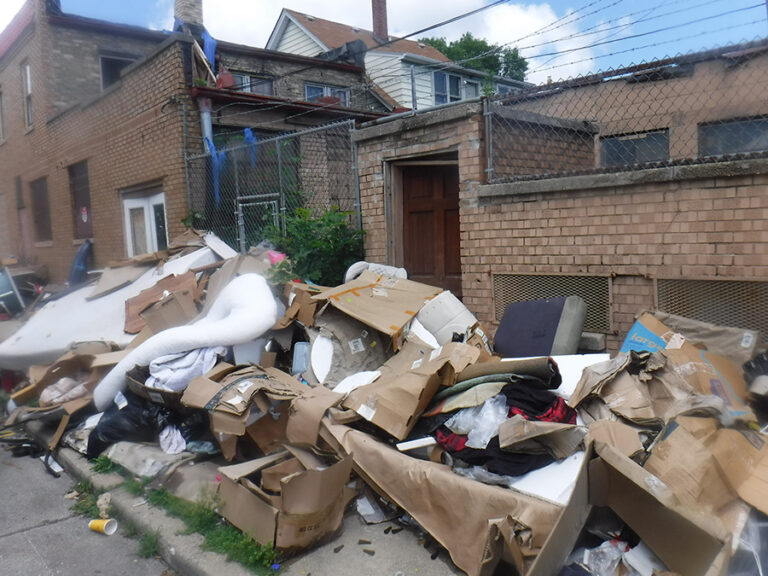 Illegal Dumping Problems in the USA: How Professional Junk Removal Services Provide Better Solutions